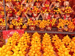 -越秀西湖花市(广州城市广场花卉店)