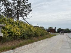 -东方华地城湿地温泉度假区