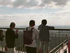 -紫金山山顶公园