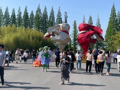 -黄海国家森林公园