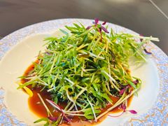 -拾宴(汇智国际商业中心店)