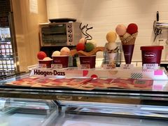 缤纷碗-哈根达斯(芳圆里店)