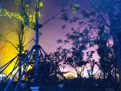 -第35届青岛国际啤酒节