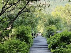 -白草畔自然风景区