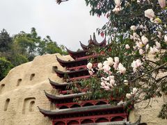 -重庆园博园