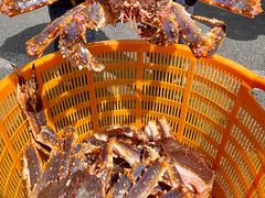 -蟹后Crabber(水悦城店)