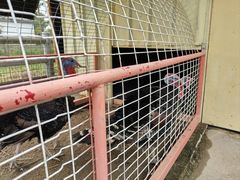 -嬉乐湾休闲旅游区