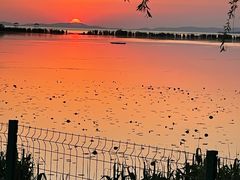 -西京湾花海