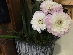 -扫雪煮茶(西村店)