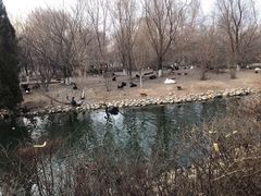 -长白岛森林公园