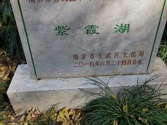 -紫霞湖公园