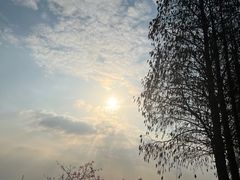 -太阳岛度假酒店