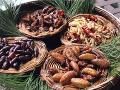 -昆虫窝子·特色云南菜(拓东路总店)