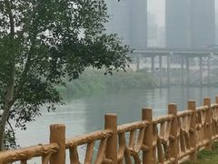 -大亚湾红树林城市湿地公园