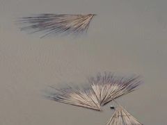-小皓村