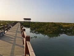 -北海金海湾红树林生态旅游区