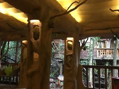 -天门沟九州驿站树上汤泉