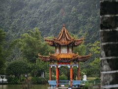 -靖西鹅泉风景区