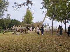 -西部长青自然儿童乐园