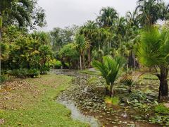 -中国科学院西双版纳热带植物园