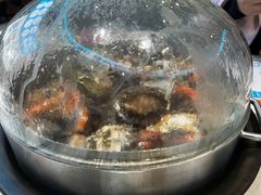 -大锅强·蒸海鲜青岛菜(吾悦广场店)