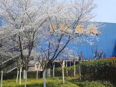 -IKEA宜家家居(南京商场)