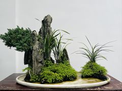 -成都杜甫草堂博物馆