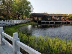 -贡湖湾湿地公园
