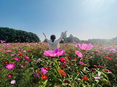 -嘉北郊野公园