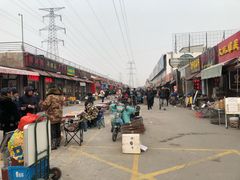 市场内-中环花鸟鱼虫市场