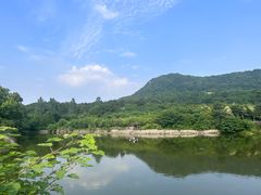 -南京老山国家森林公园