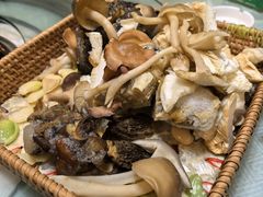 -山菌美食苑(振兴路店)