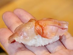 -银座岩