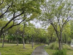 -长广溪湿地公园