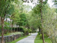 -河源御临门度假村温泉