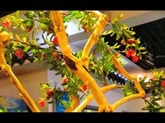 -元鼎宝驴香·全驴宴(江宁店)