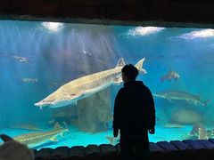 -多彩贵州城极地海洋世界