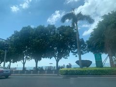 -黄金海岸环岛路