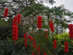 -深圳国际园林花卉博览园