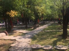 -大槐树寻根祭祖园