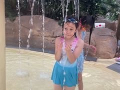 -杭州开元森泊度假乐园