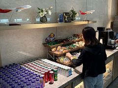 -虹桥机场V2贵宾休息室