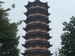 -葛仙湖公园