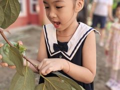 -井德幼儿园(泰达园)