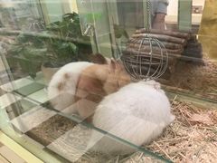 -龙猫仔乐园(惠福东路店)