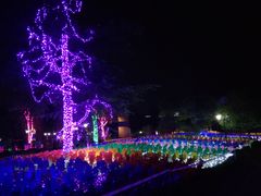 -苏州太湖迷笛