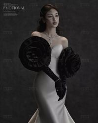 -巴黎经典婚纱摄影PARISSIC