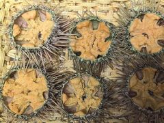 -良友·海鲜青岛菜·海肠捞饭(五四广场店)