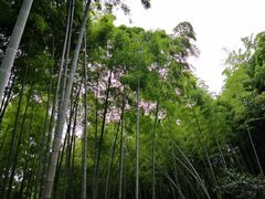 -杭州黄龙洞