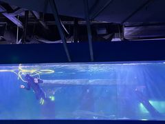 -重庆欢乐海底世界